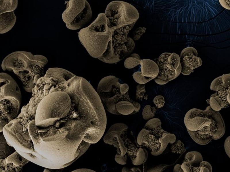 Metal-Eating Microbes