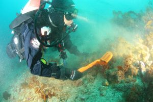 Quest Scuba Tector Use