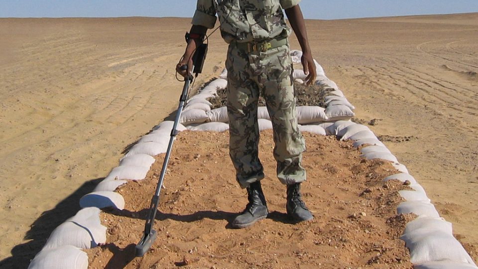 Ebinger TREX® 204 M Sensitive Metal Detector Ground Compensation