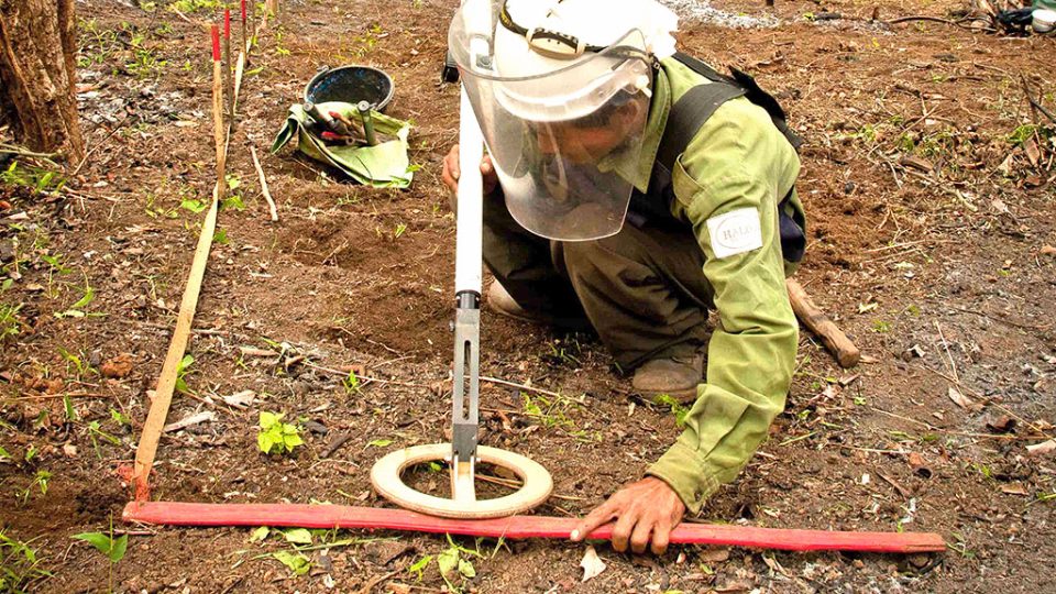 Ebinger EBEX® 422 GC Metal Detector