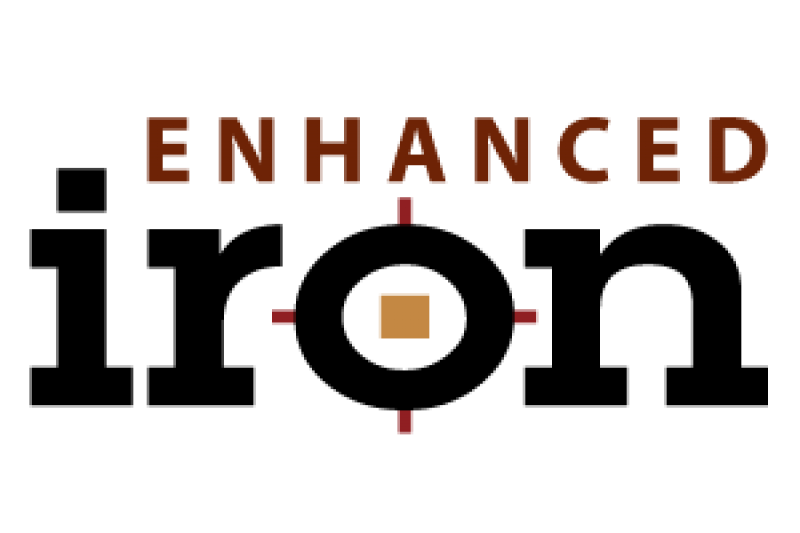 Garrett Ace 300i enhanced iron